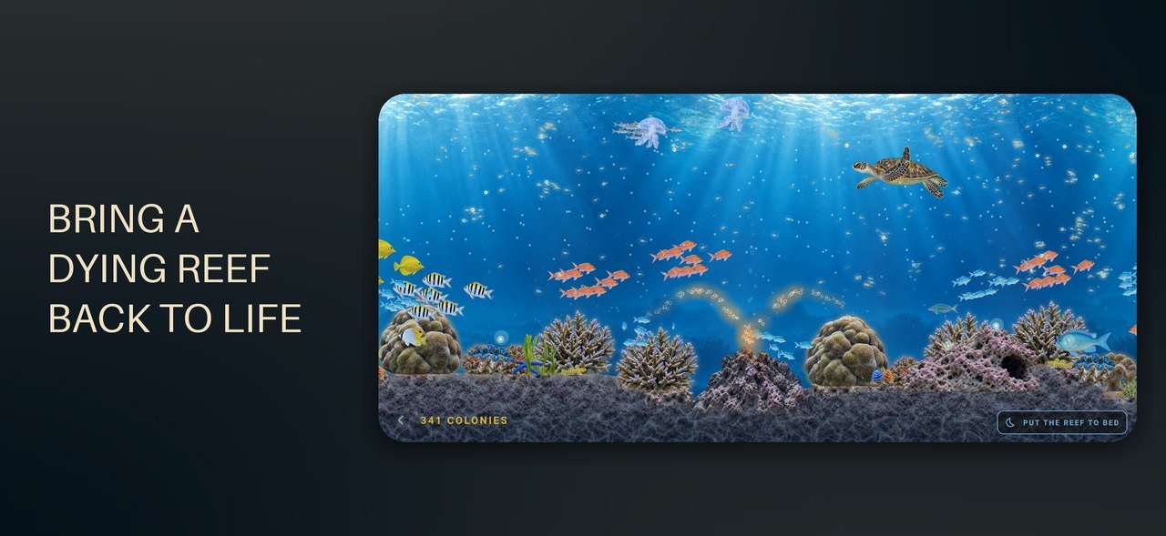 Paahu — The reef