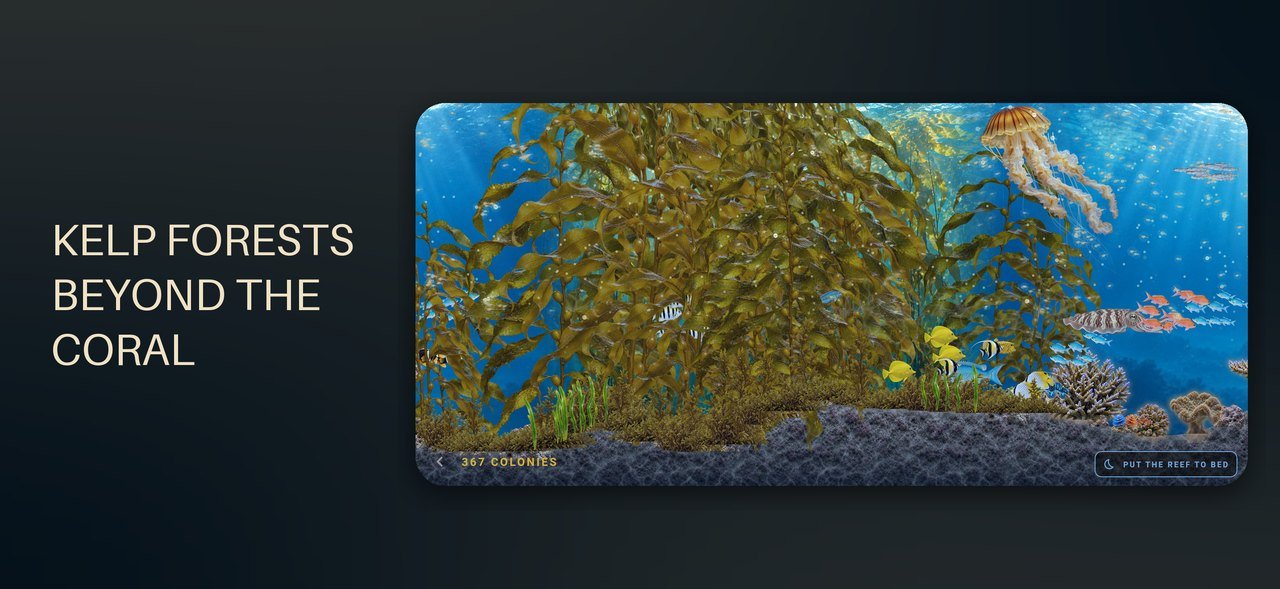 Paahu — Kelp forests beyond the coral